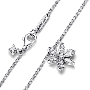 Collar con Pendiente Racimo Herbario Reluciente Pandora Plata Esterlina