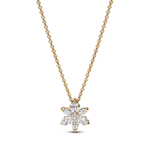 Collar Herbario Brillante