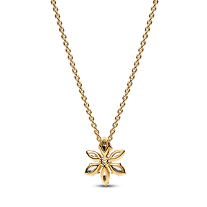 Collar Herbario Brillante