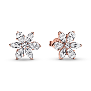 Aretes de Botón Herbario Brillante Rosa