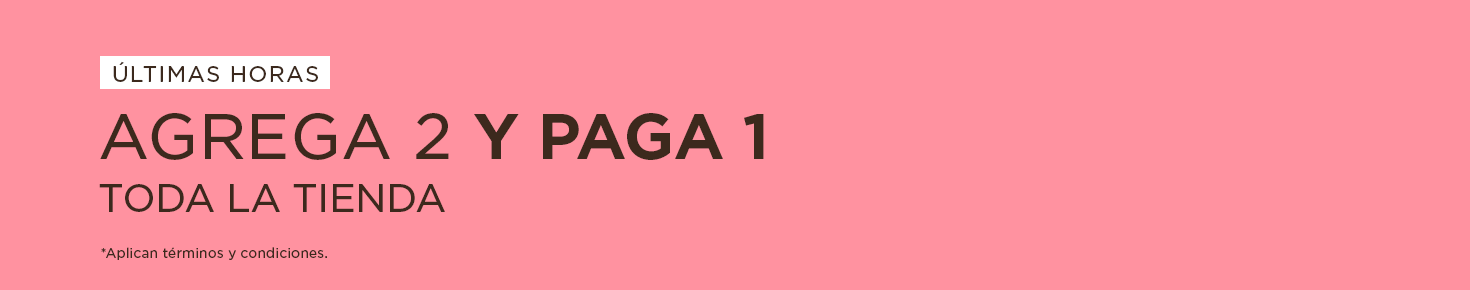 2x1